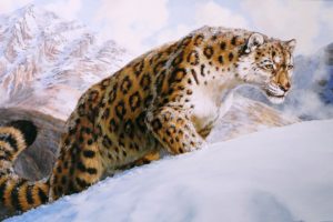 artwork, Winter, Snow, Mountains, Leopard, Cat, Predator