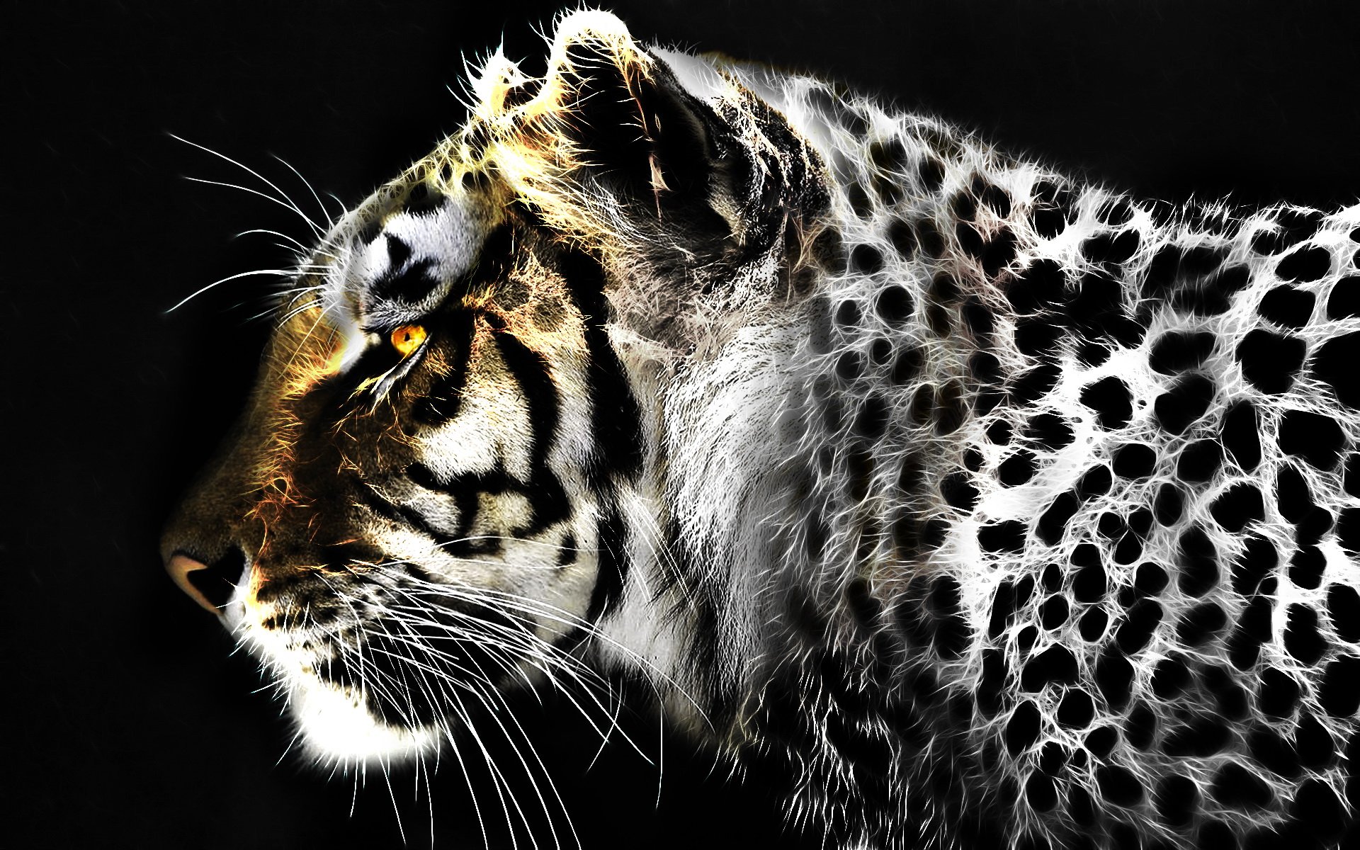 jaguar, Leopard, Fractal, Artwork Wallpaper