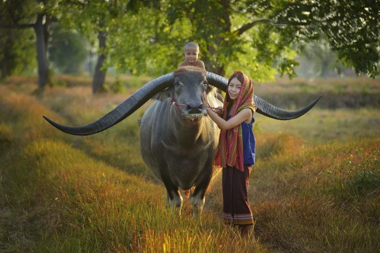 nepal, Buffalo, Horns, Woman, Child, Baby, Mother HD Wallpaper Desktop Background