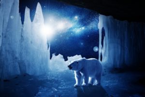 polar, Bear, Ice, Winter, Stars, Blue, Artwork