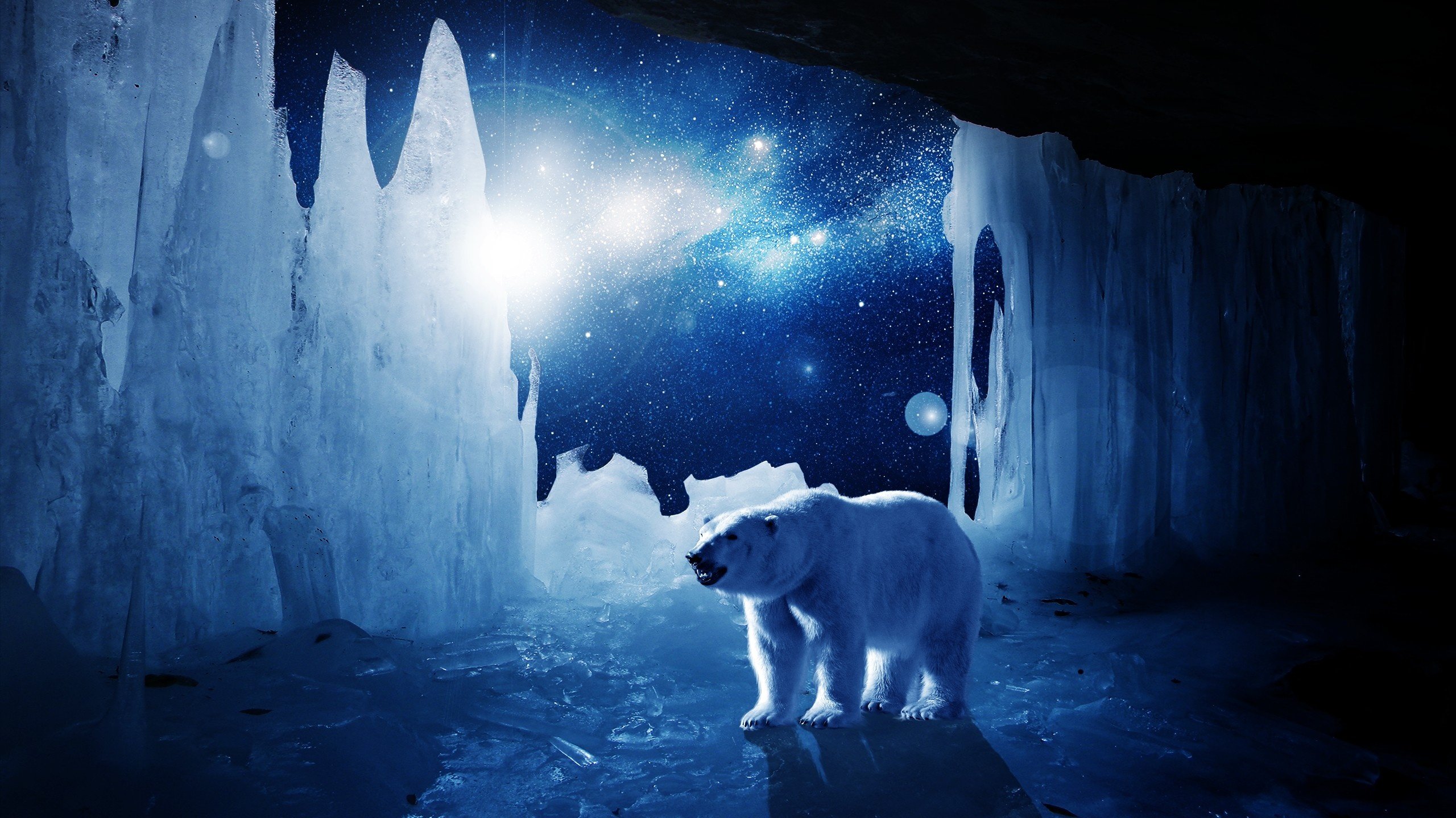 polar, Bear, Ice, Winter, Stars, Blue, Artwork Wallpaper