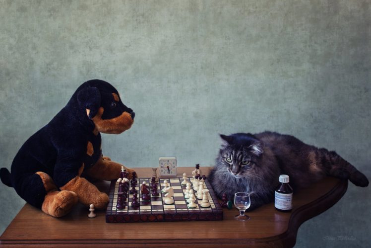 table, Chess, Clock, Valerian, Cat, Puppy, Dog, Humor, Funny HD Wallpaper Desktop Background