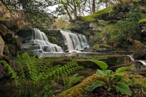 waterfall, Plants, Rocks, Landscape