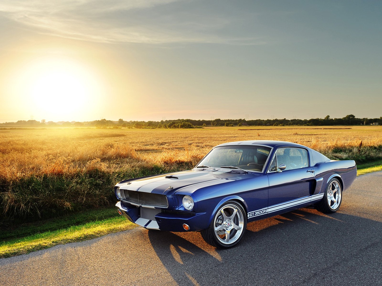 Ford Mustang Shelby 1966