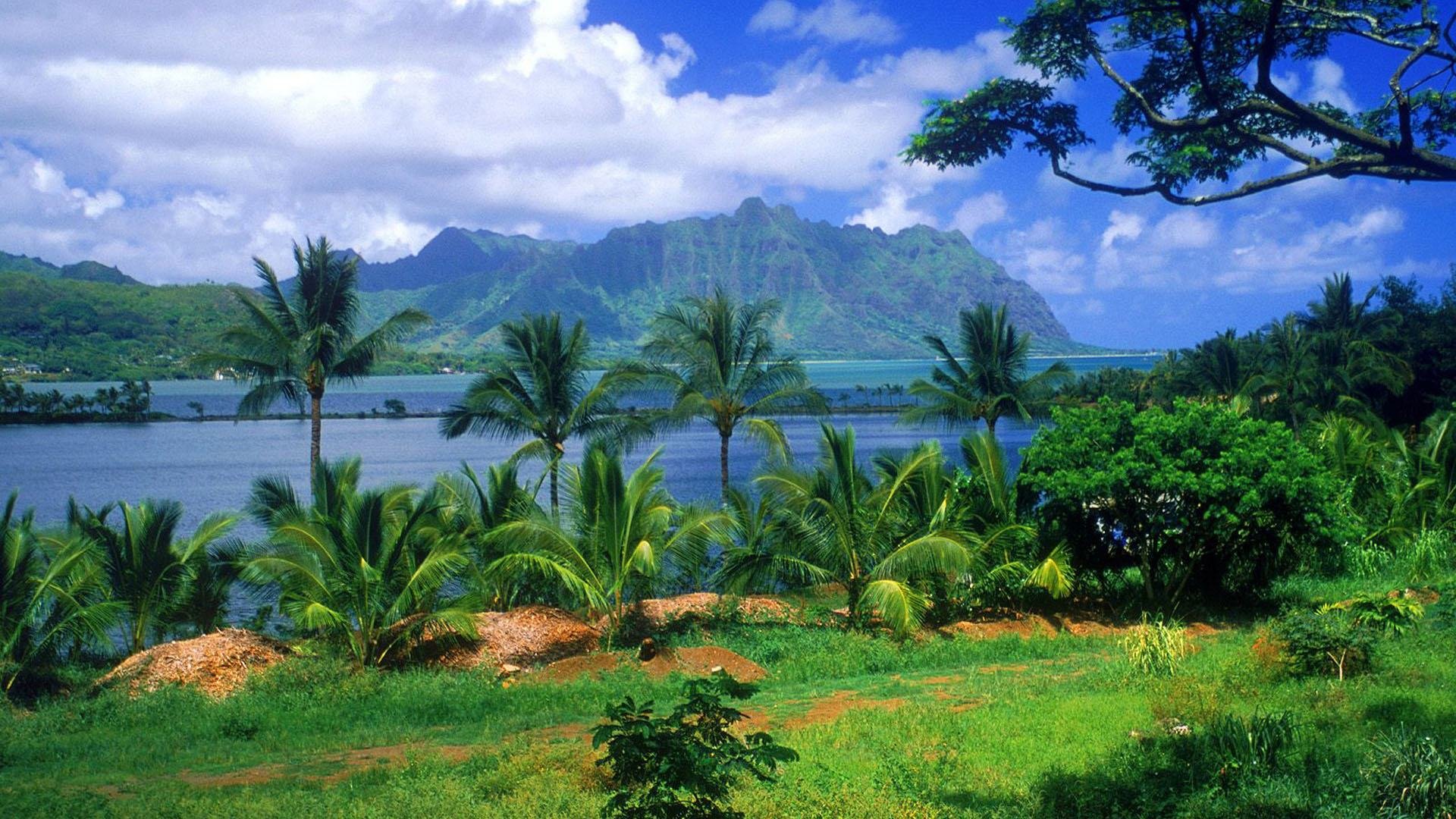 isla, Hawai, Naturaleza, Paisajes Wallpaper