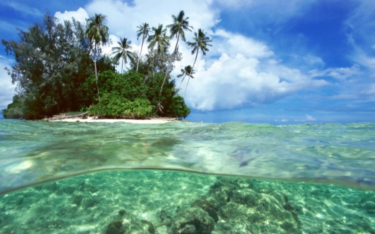 isla, Palmeras, Oceano HD Wallpaper Desktop Background