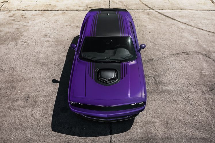 2016, Dodge, Challenger, Charger, Plum, Crazy, Limited, Edition, Supercar, Muscle, Usa,  04 HD Wallpaper Desktop Background