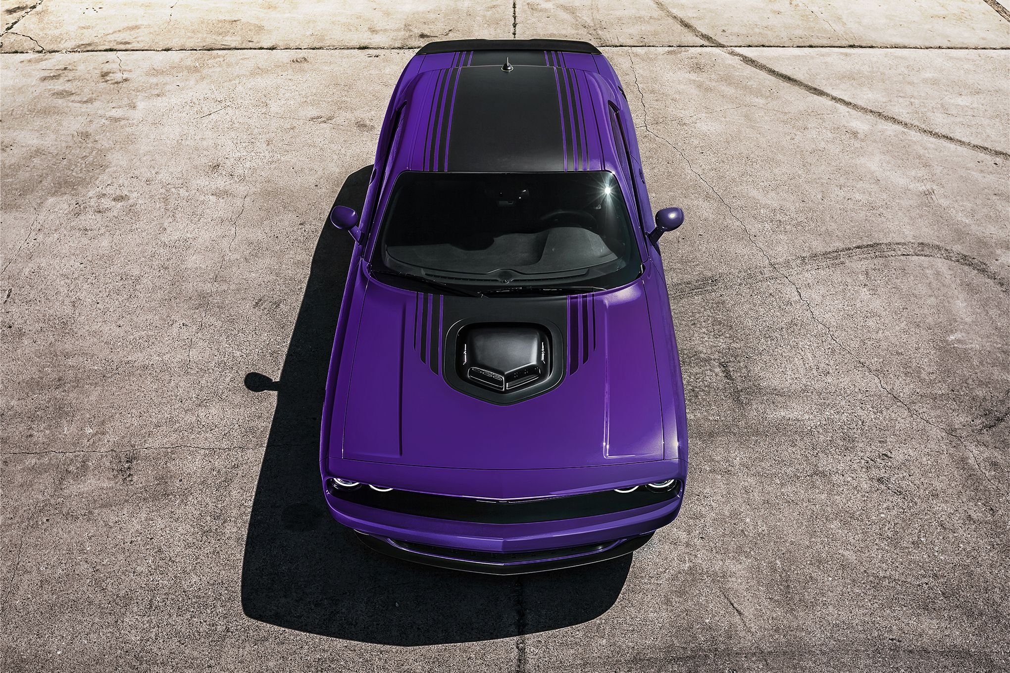 2016, Dodge, Challenger, Charger, Plum, Crazy, Limited, Edition, Supercar, Muscle, Usa,  04 Wallpaper