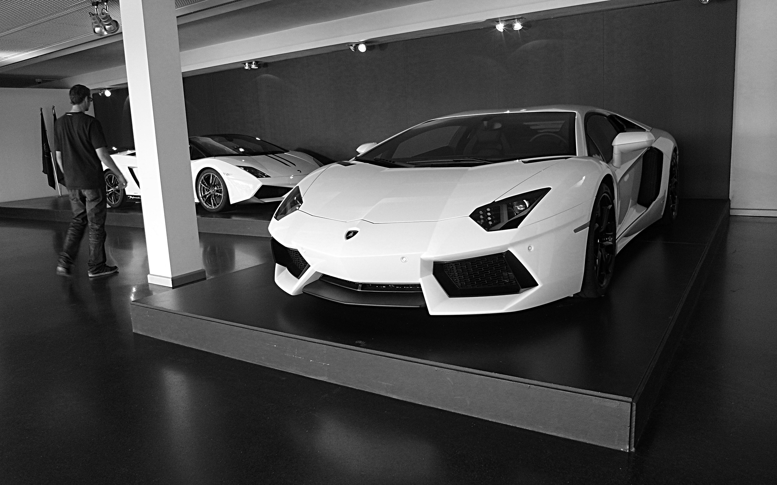 white, Cars, Lamborghini, Monochrome, Lamborghini, Gallardo, Lamborghini, Aventador, Lamborghini, Gallardo, Spyder Wallpaper