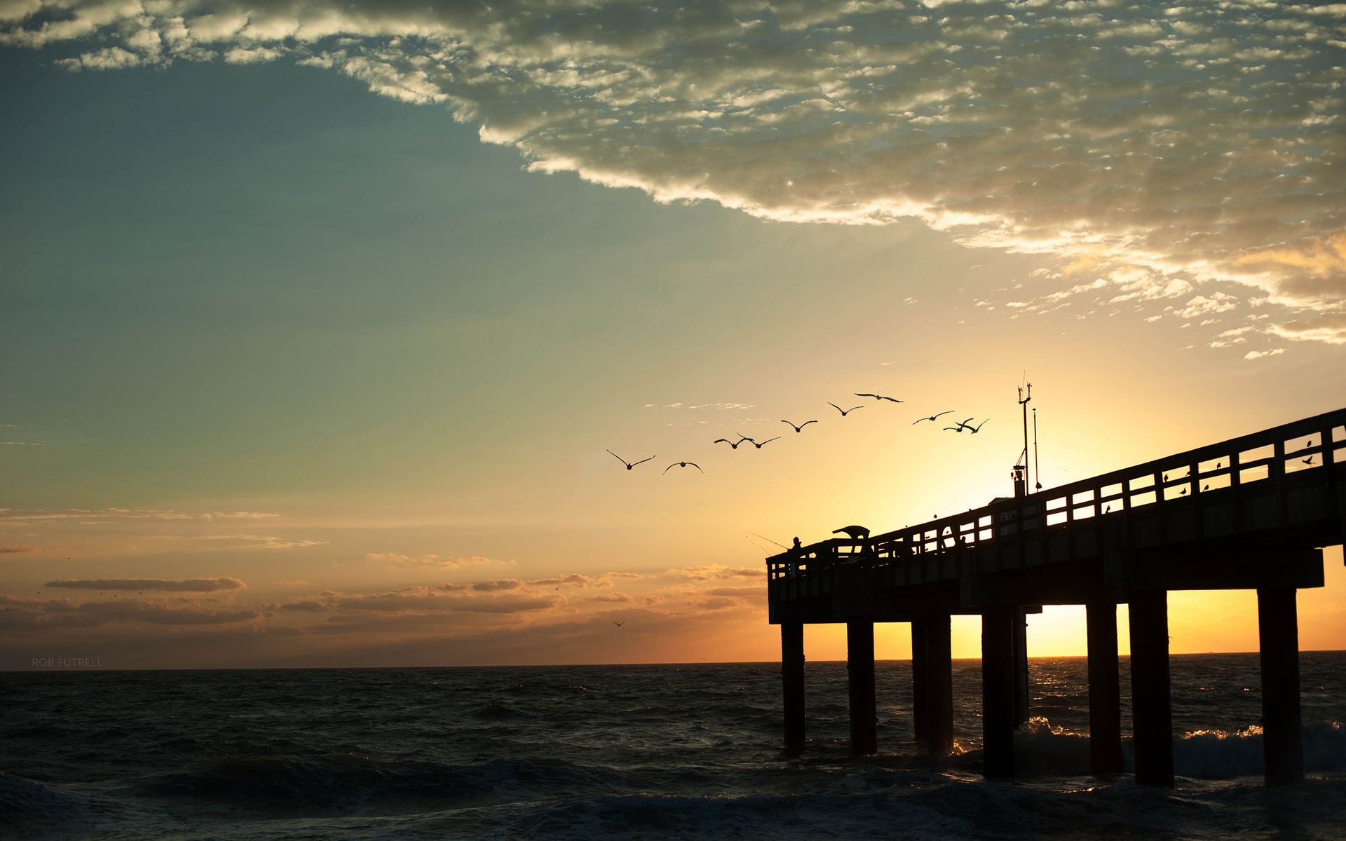 pier, Birds, Ocean, Sunset Wallpaper