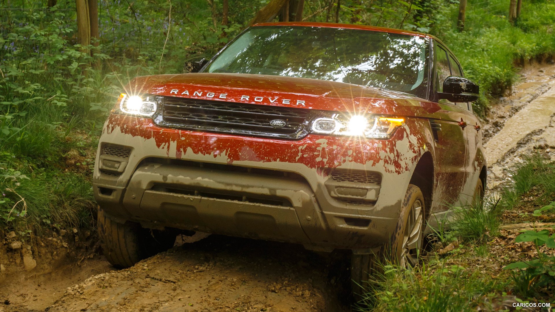 4x4, Offroad, Truck, Custom Wallpaper