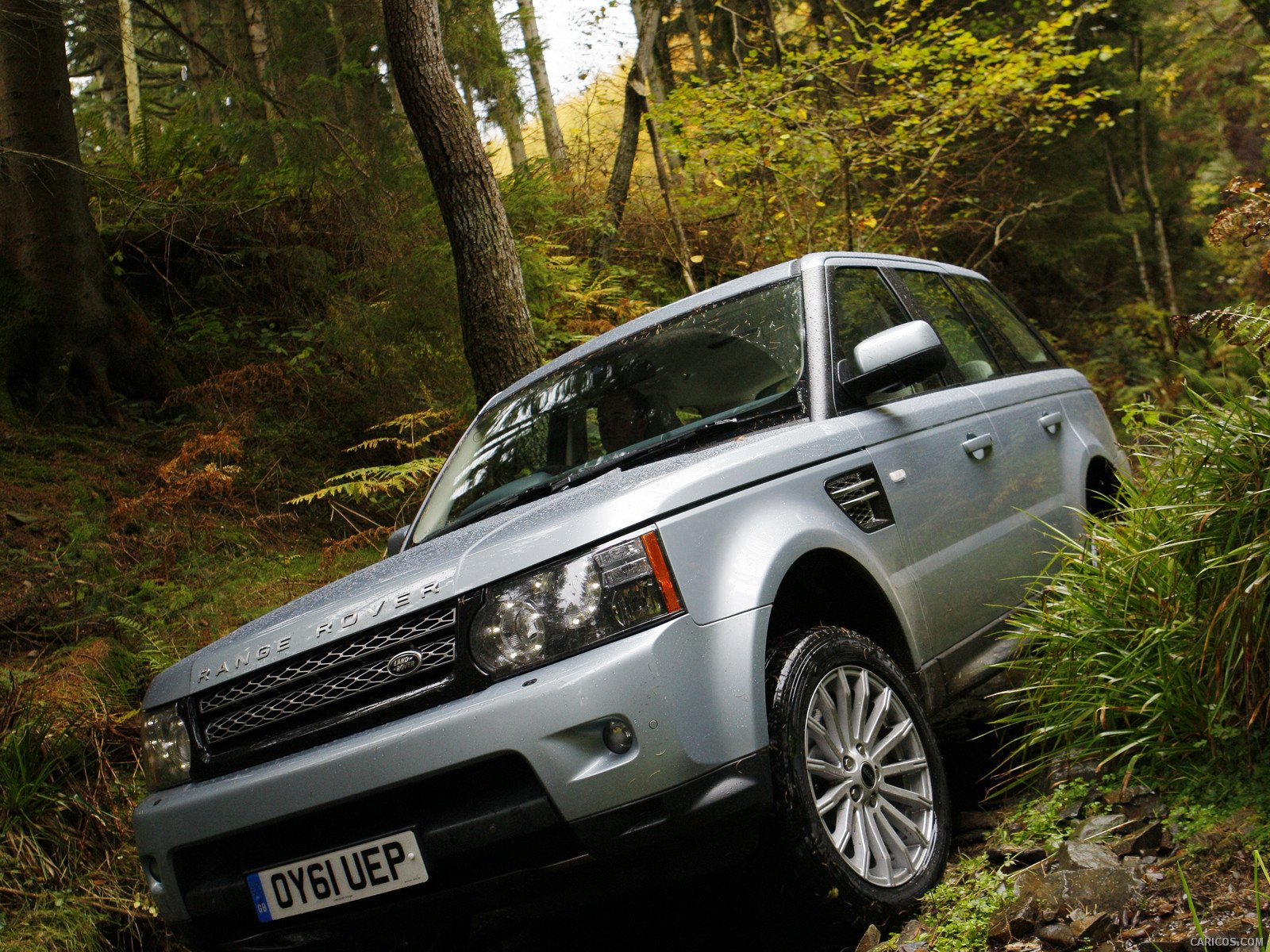 4x4, Offroad, Truck, Custom Wallpaper