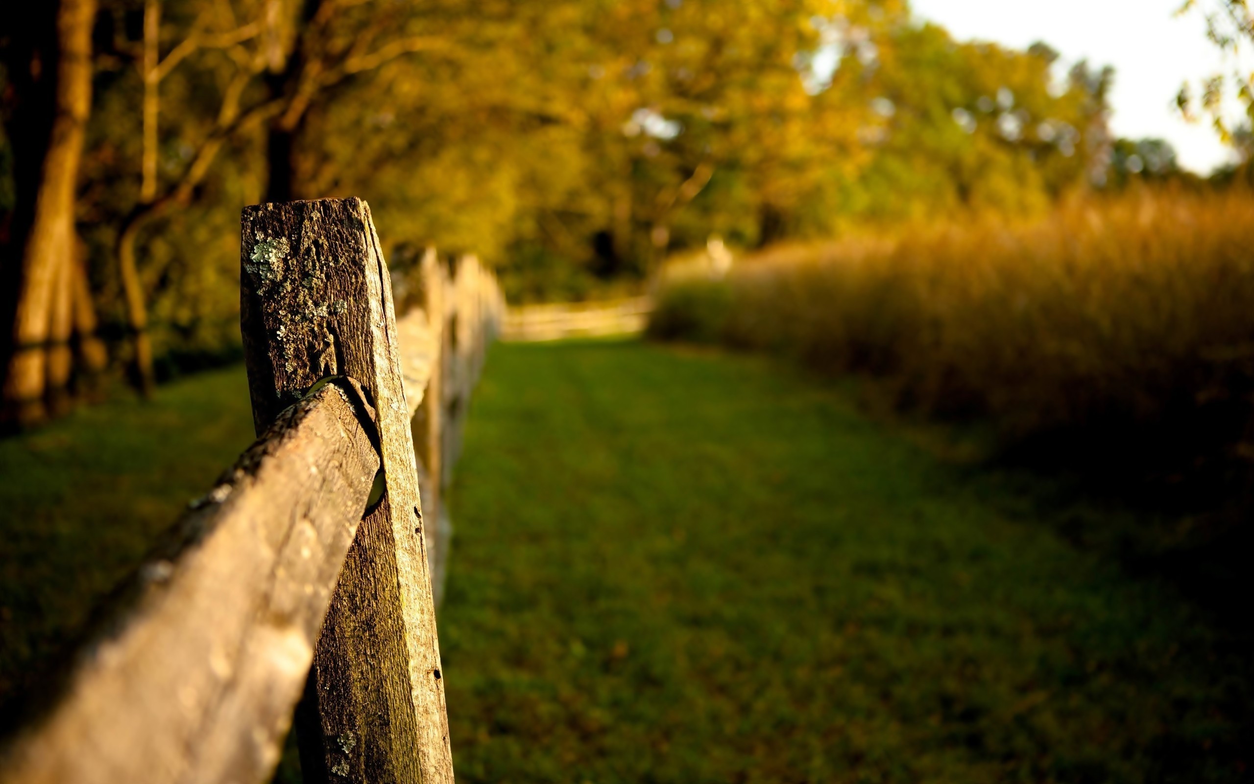 landscapes, Nature, Fences Wallpaper