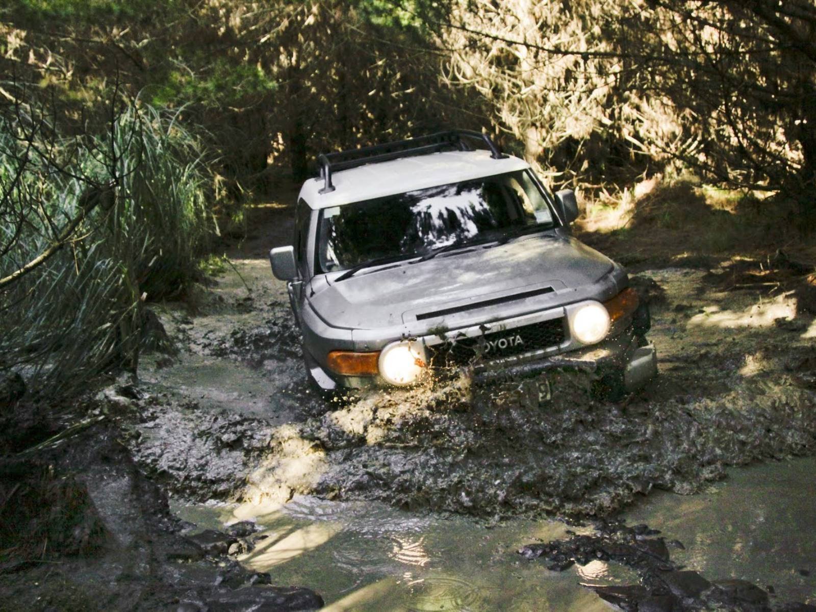 4x4, Offroad, Truck, Custom Wallpaper