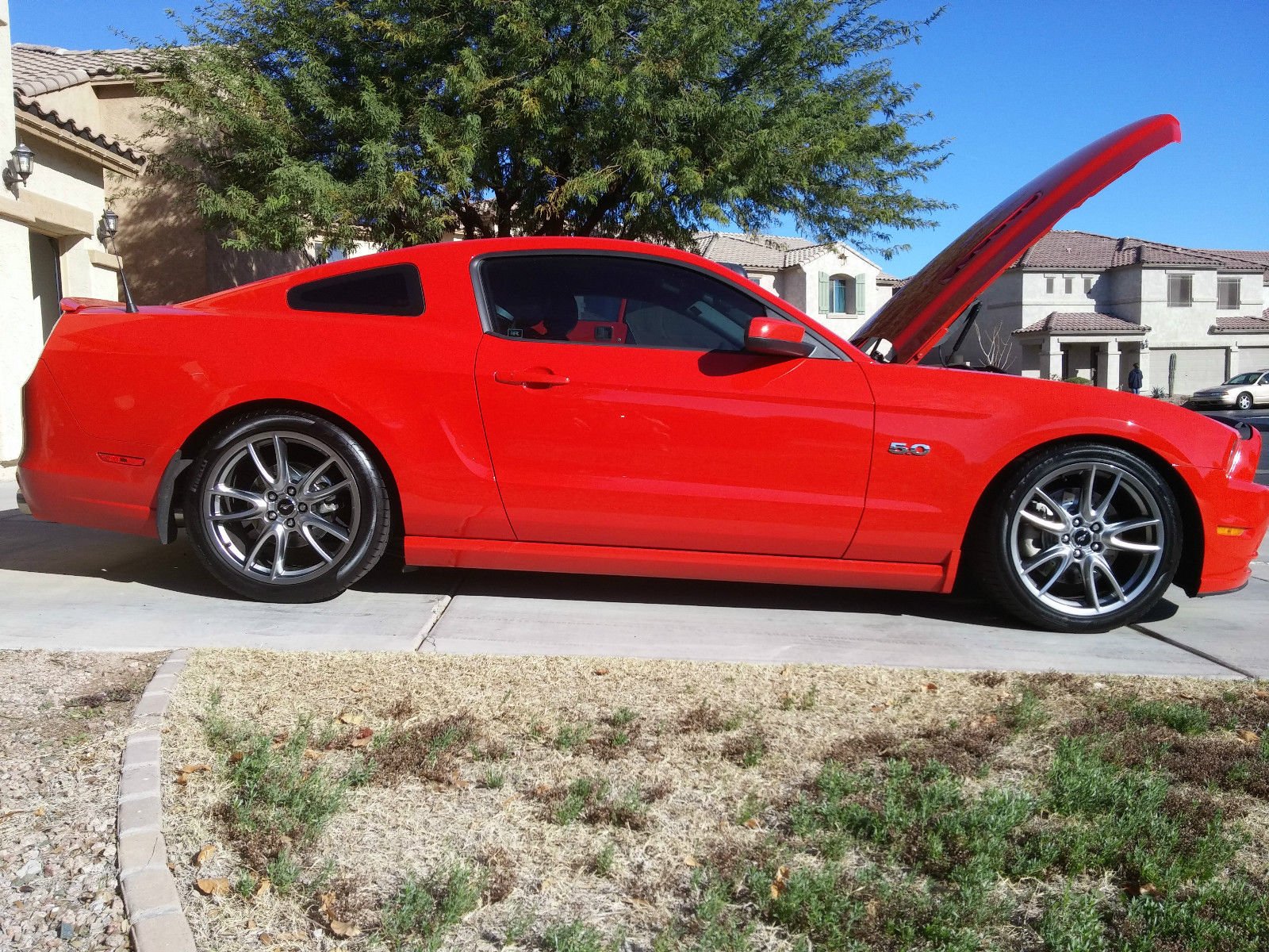 ford, Mustang, Muscle Wallpaper