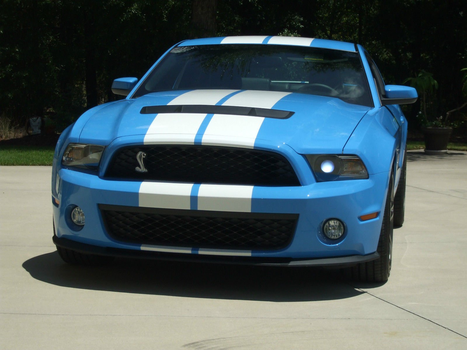 ford, Mustang, Muscle Wallpaper