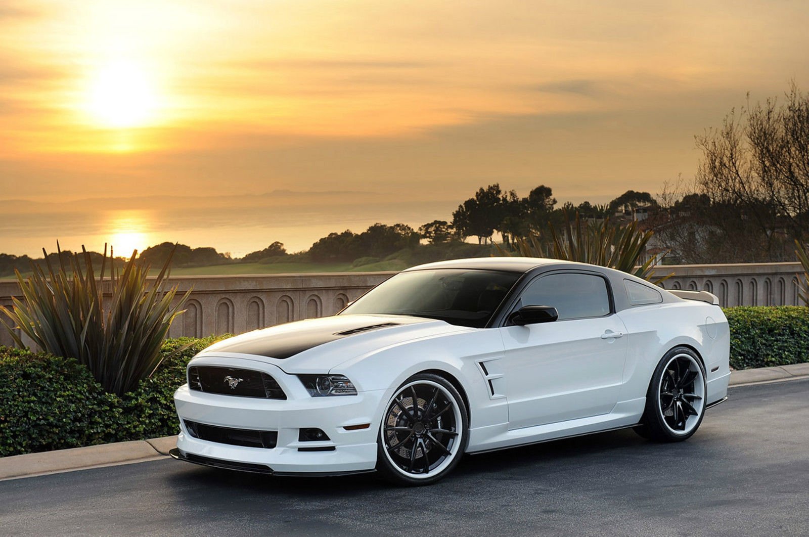 ford, Mustang, Muscle Wallpaper