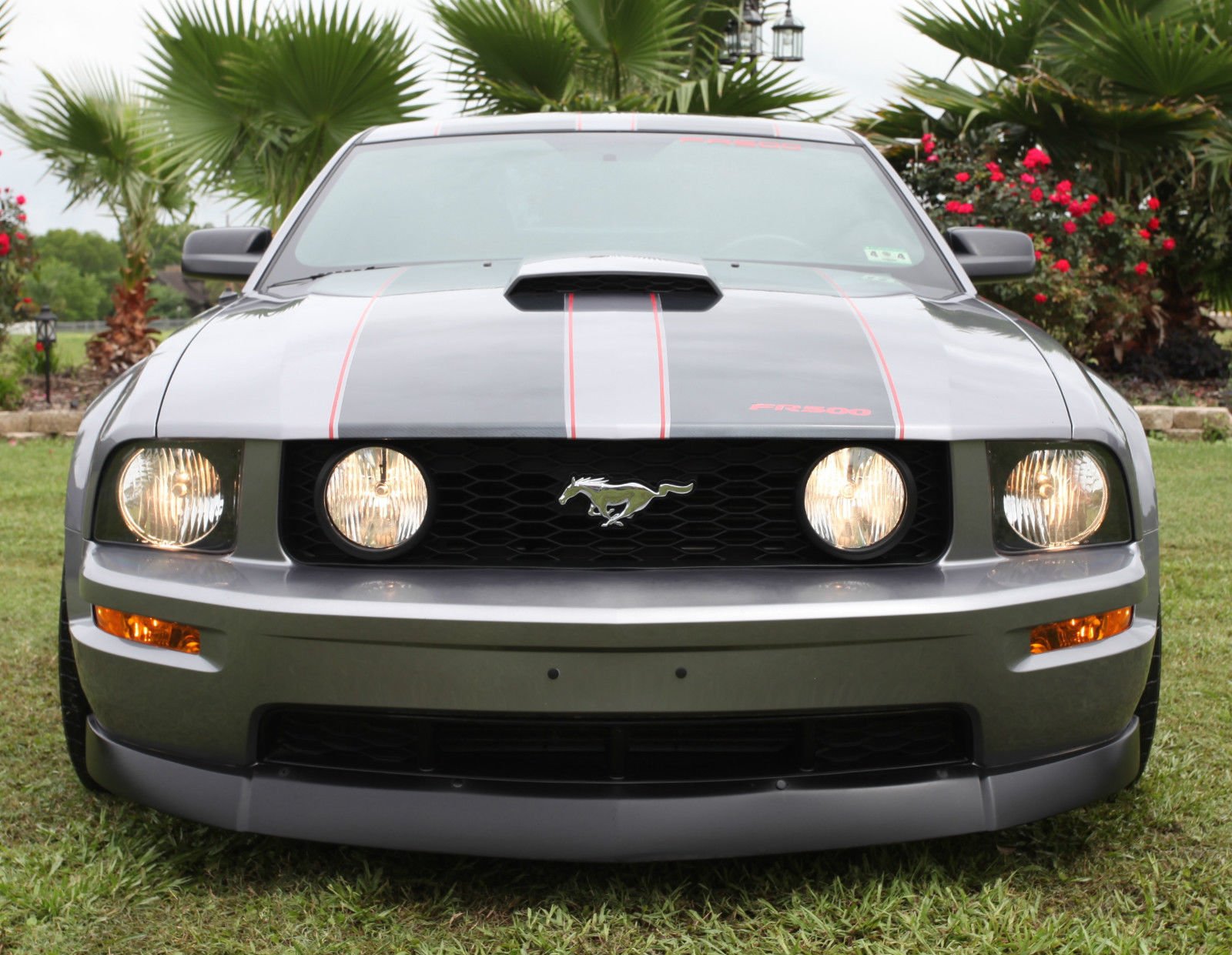 ford, Mustang, Muscle Wallpaper