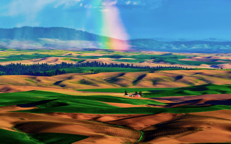 fields, Hills, Trees, Landscape HD Wallpaper Desktop Background