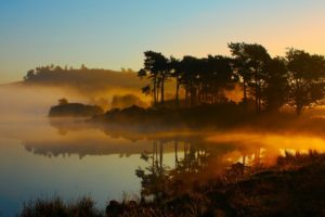 landscapes, Forest, Nature, Environment, Lakes, Sunrise, Fog, Reflection