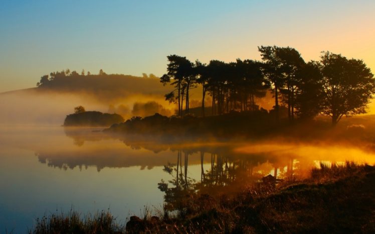 landscapes, Forest, Nature, Environment, Lakes, Sunrise, Fog, Reflection HD Wallpaper Desktop Background