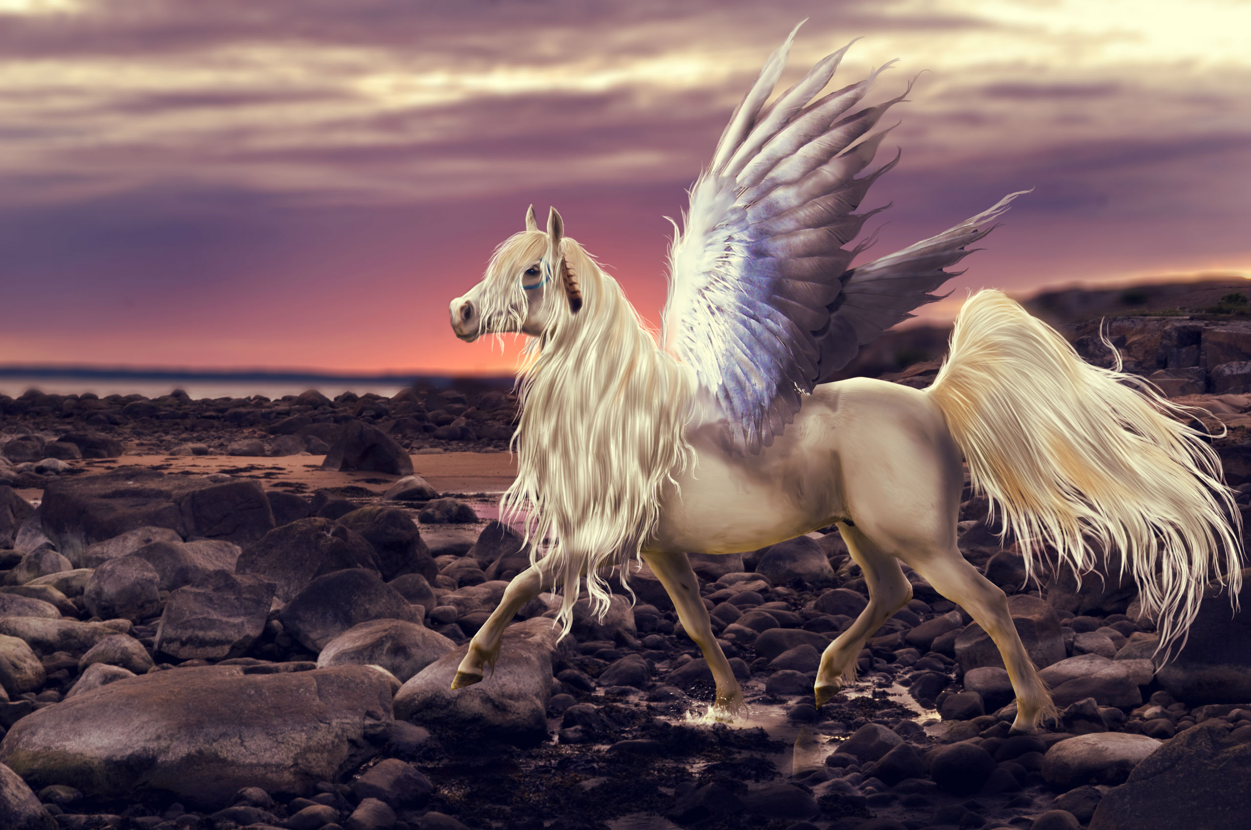 magical, Animals, Stones, Horses, Pegasus, Wings, Fantasy Wallpaper