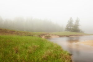 river, Mist, Nature