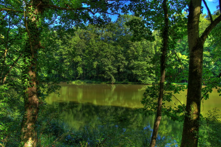 rivers, Germany, Trees, Nature HD Wallpaper Desktop Background