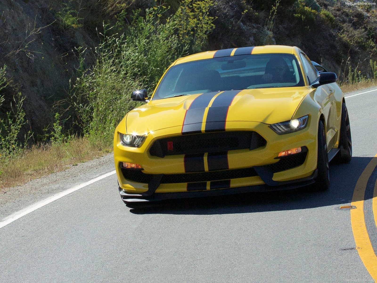 2015, Cars, Ford, Gt350r, Mustang, Shelby, Usa Wallpaper