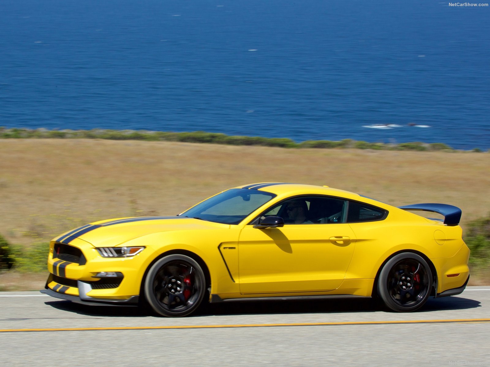 2015, Cars, Ford, Gt350r, Mustang, Shelby, Usa Wallpaper