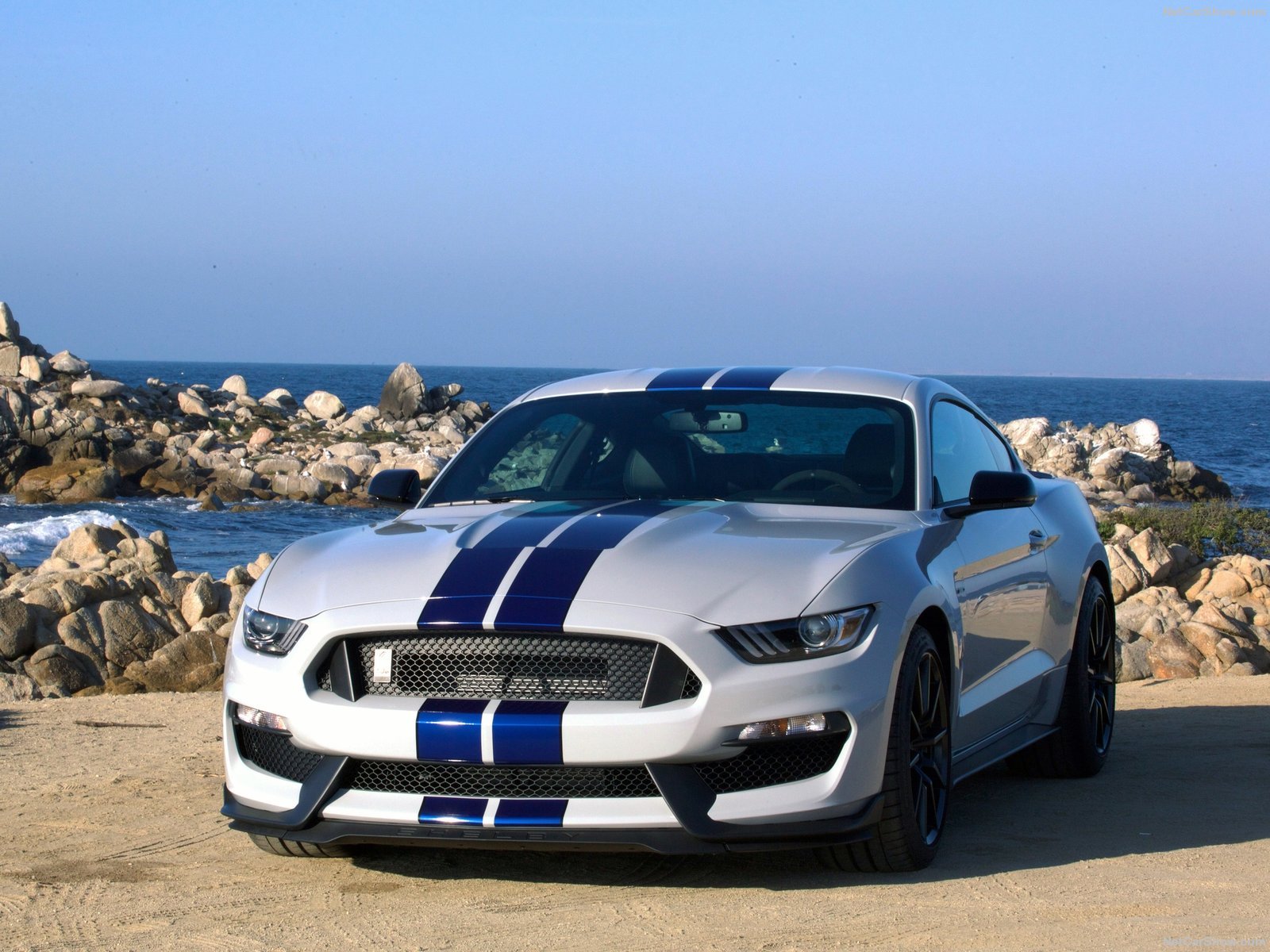 2016, Cars, Ford mustang, Gt350, Motors, Race, Shelby, Speed, Super Wallpaper