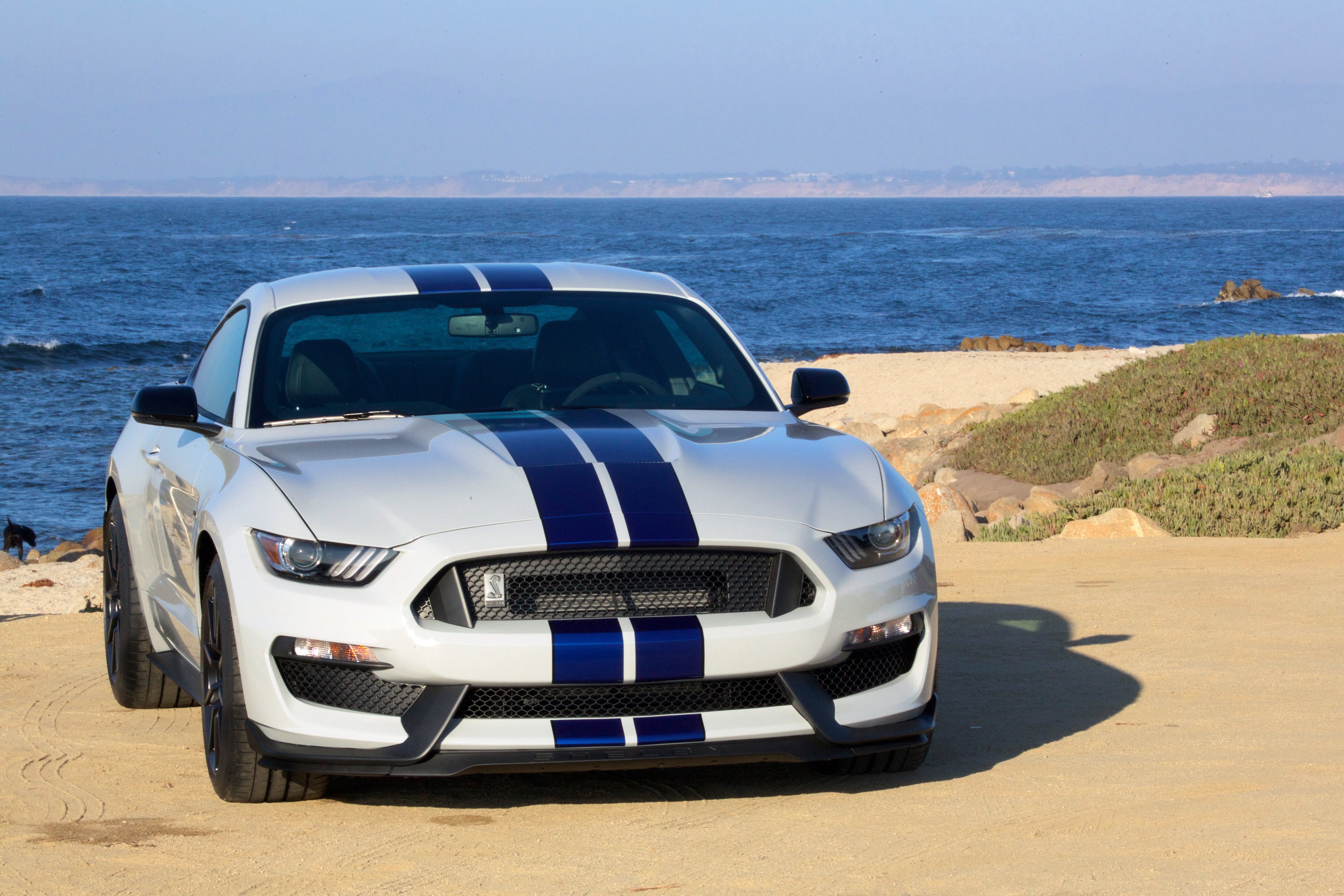 2016, Shelby, Gt350, Mustang, Ford, Muscle Wallpaper