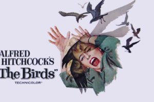 the, Birds, Movie, Poster