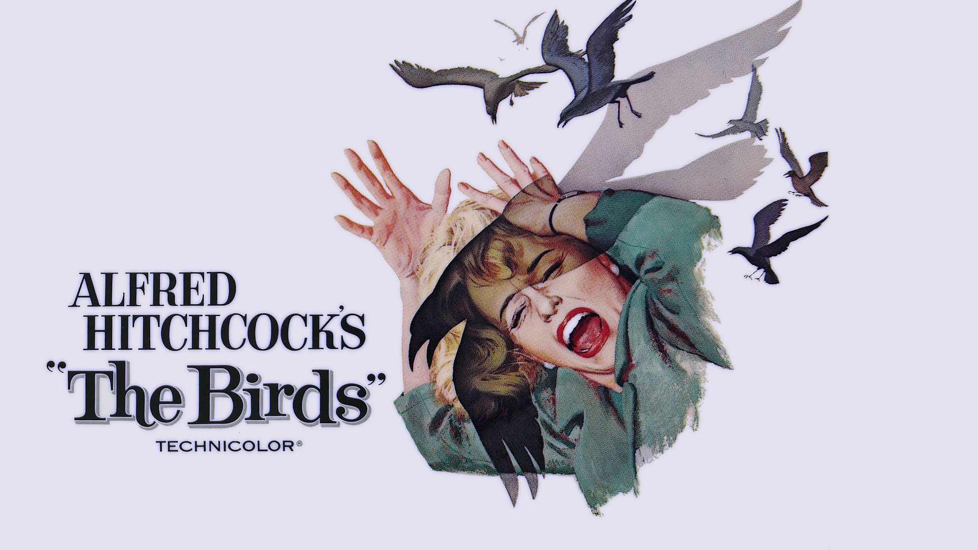 the, Birds, Movie, Poster Wallpaper