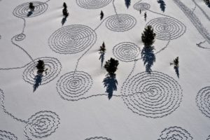 trees, Snow, Winter, Aerial, Pattern