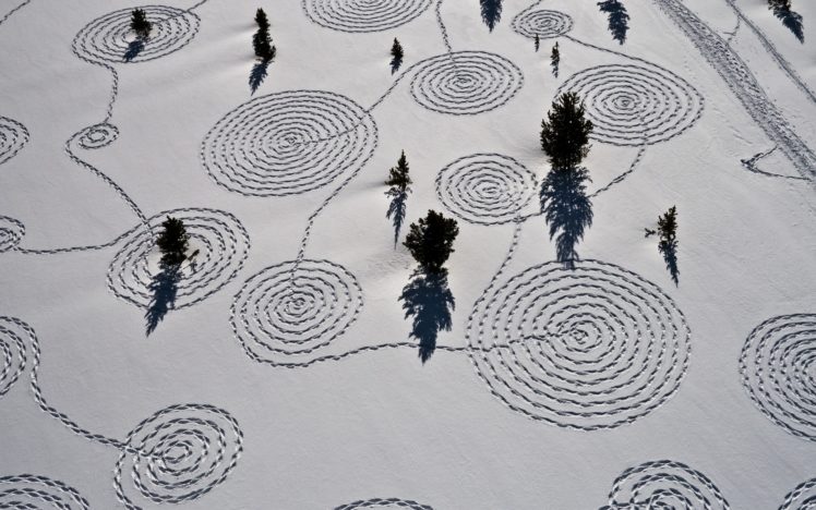 trees, Snow, Winter, Aerial, Pattern HD Wallpaper Desktop Background