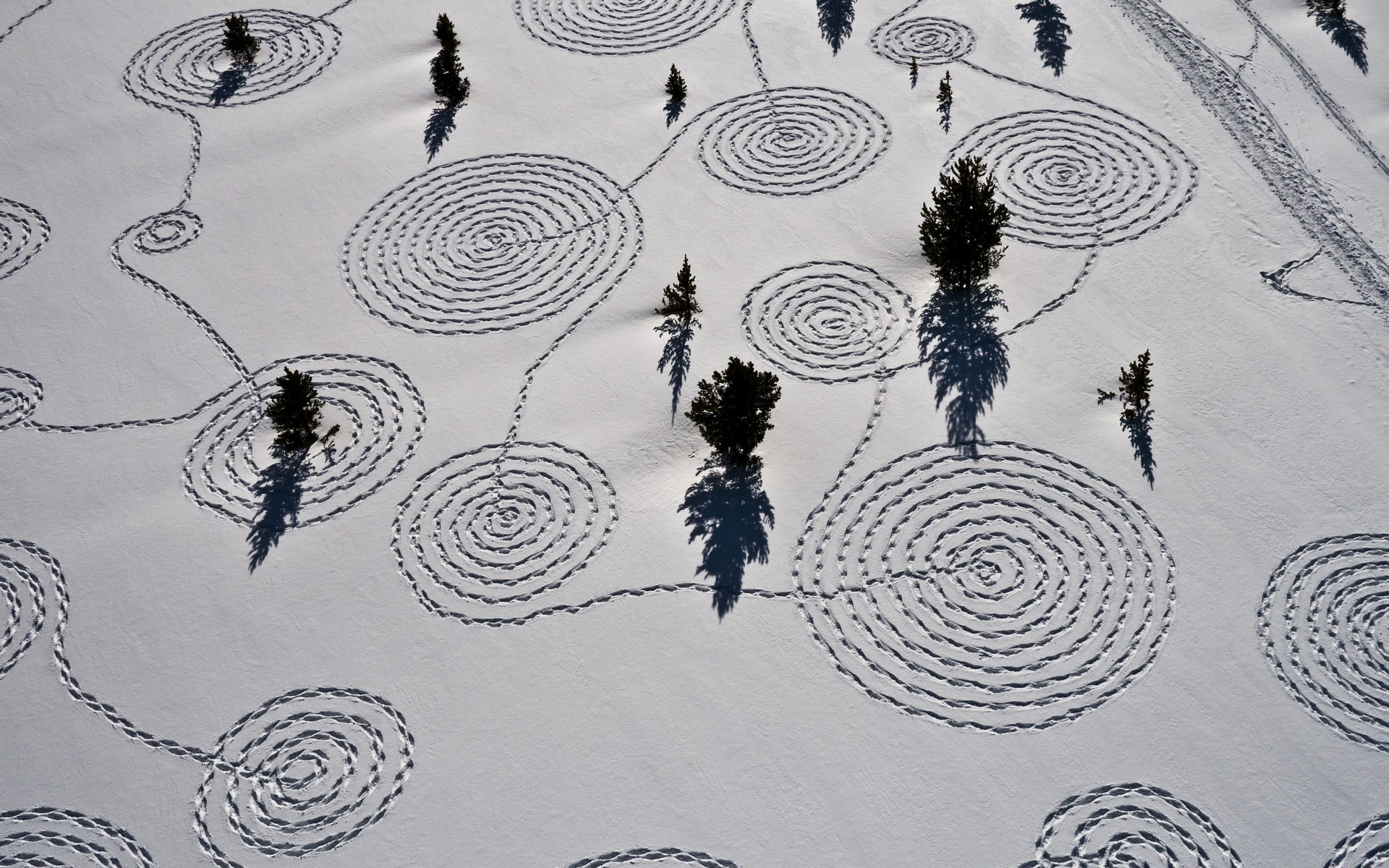 trees, Snow, Winter, Aerial, Pattern Wallpaper