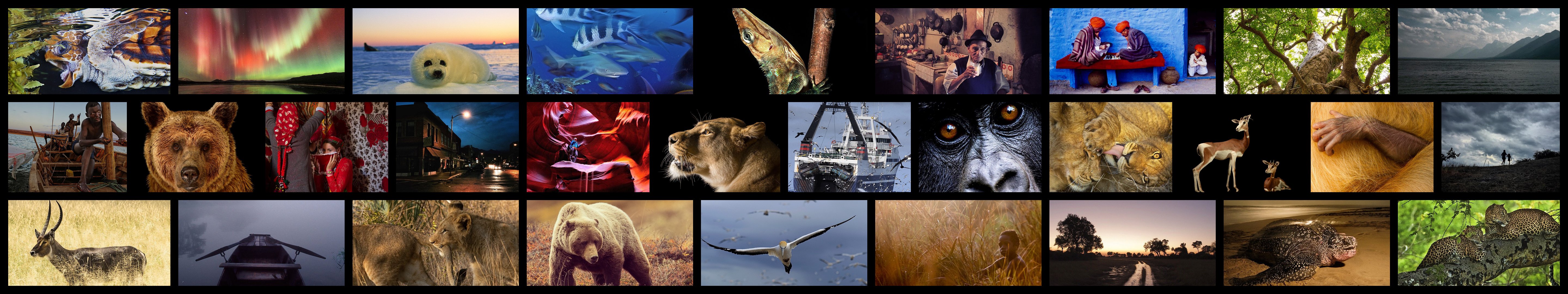 wallpaper, Triple, Multi, Multiple, Monitor, Screen, National, Geographic Wallpaper