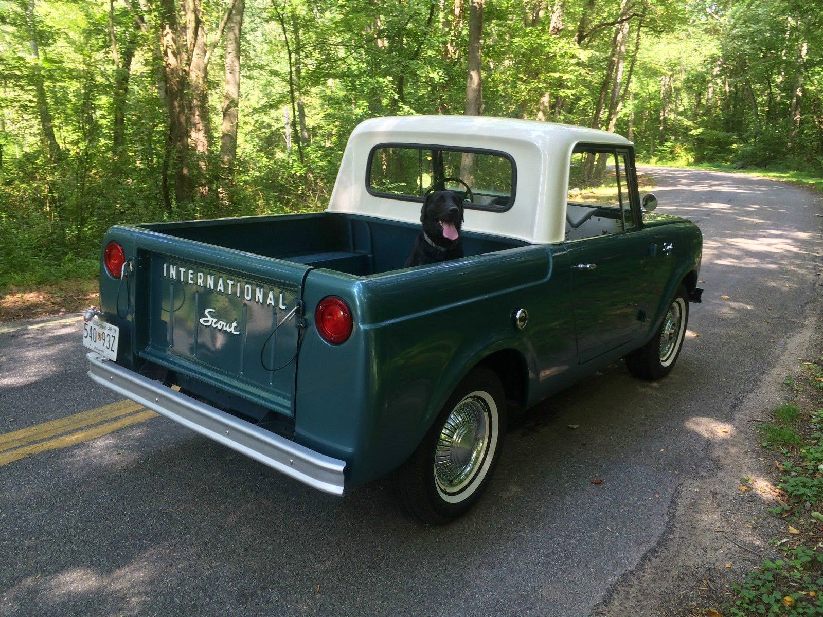 international, Scout, Suv, 4x4, Harvester, Offroad Wallpaper