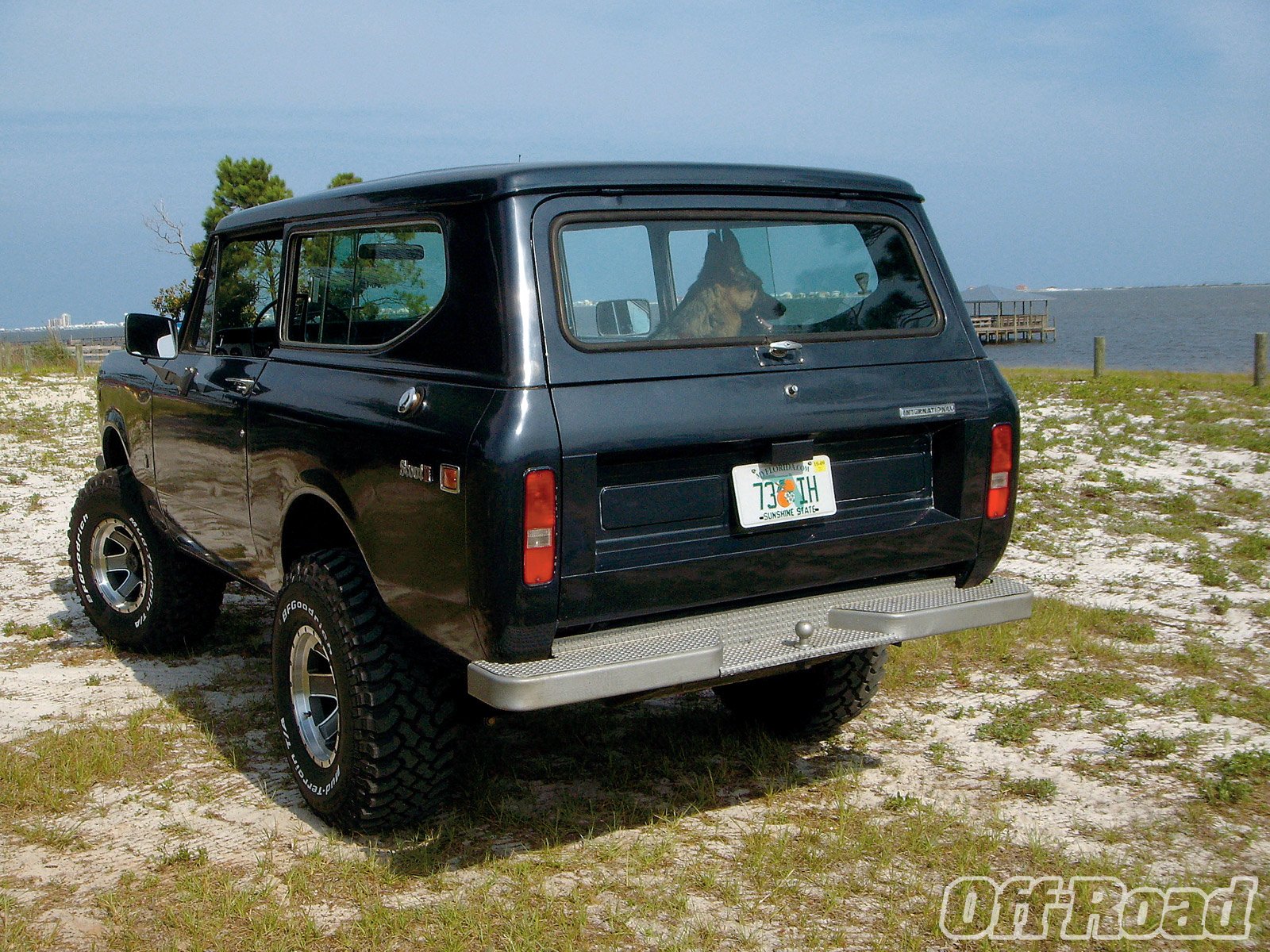 international, Scout, Suv, 4x4, Harvester, Offroad Wallpaper