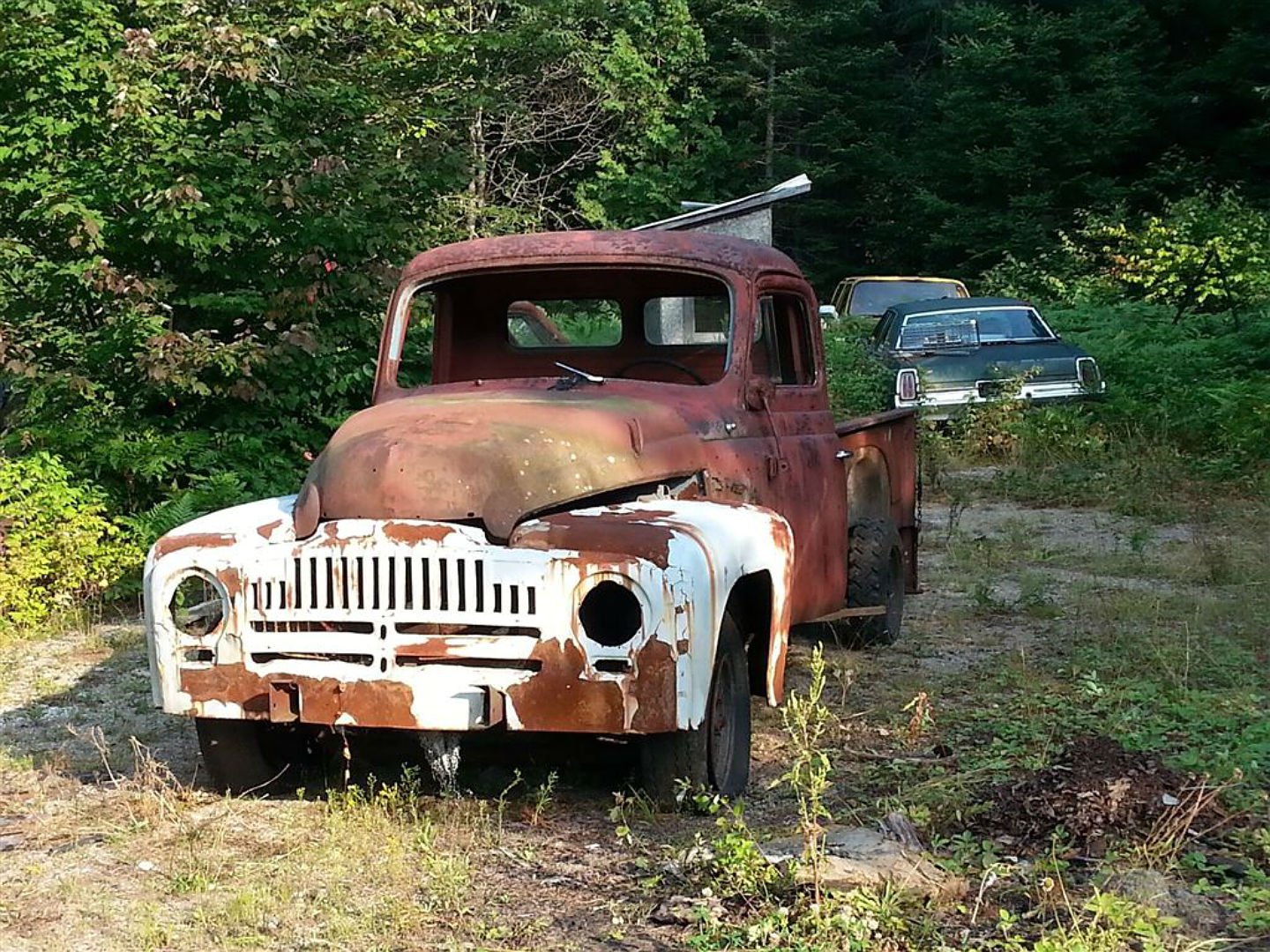 international, Truck, Pickup, Harvester Wallpaper