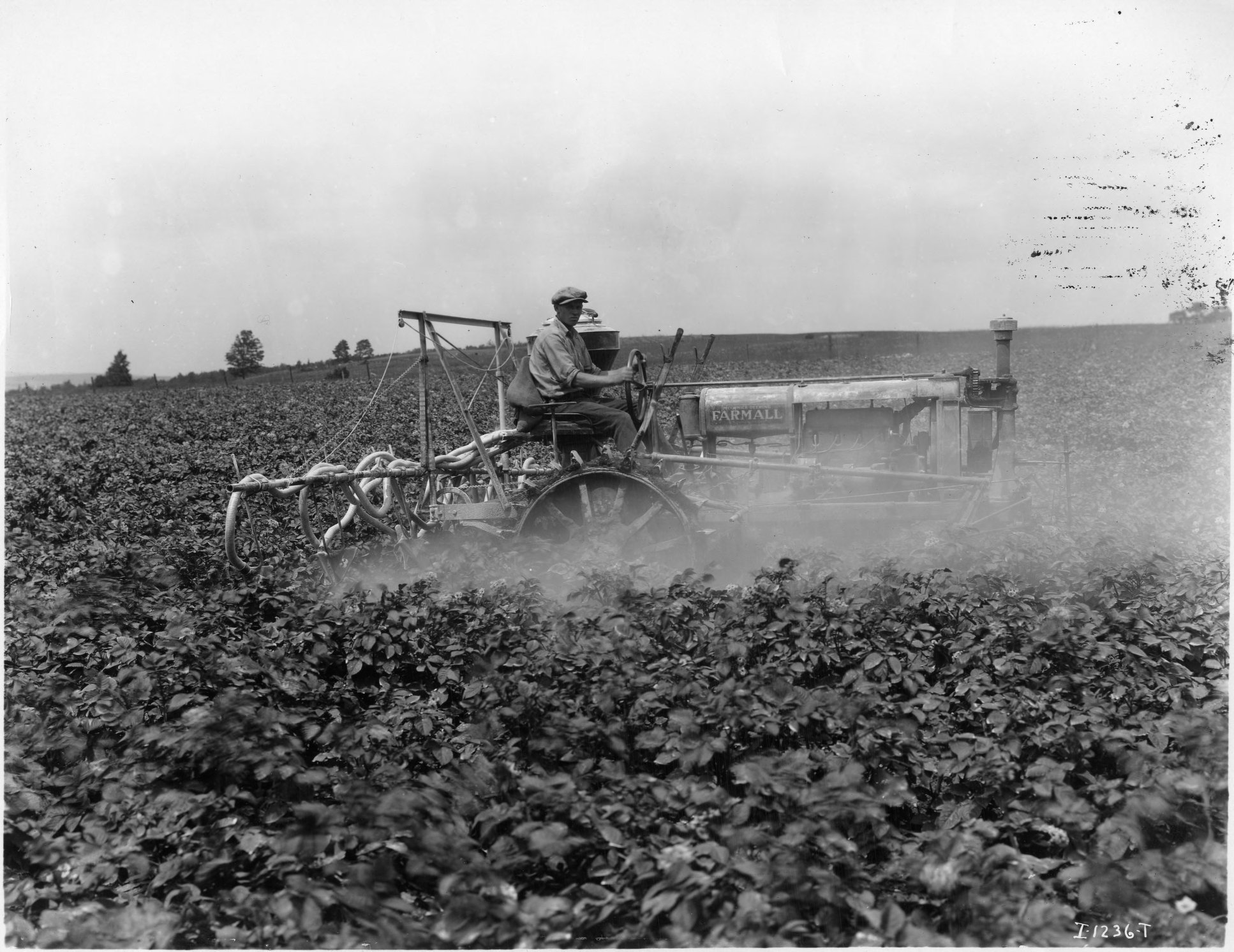 international, Tractor, Farm, Constuction, Offroad Wallpaper