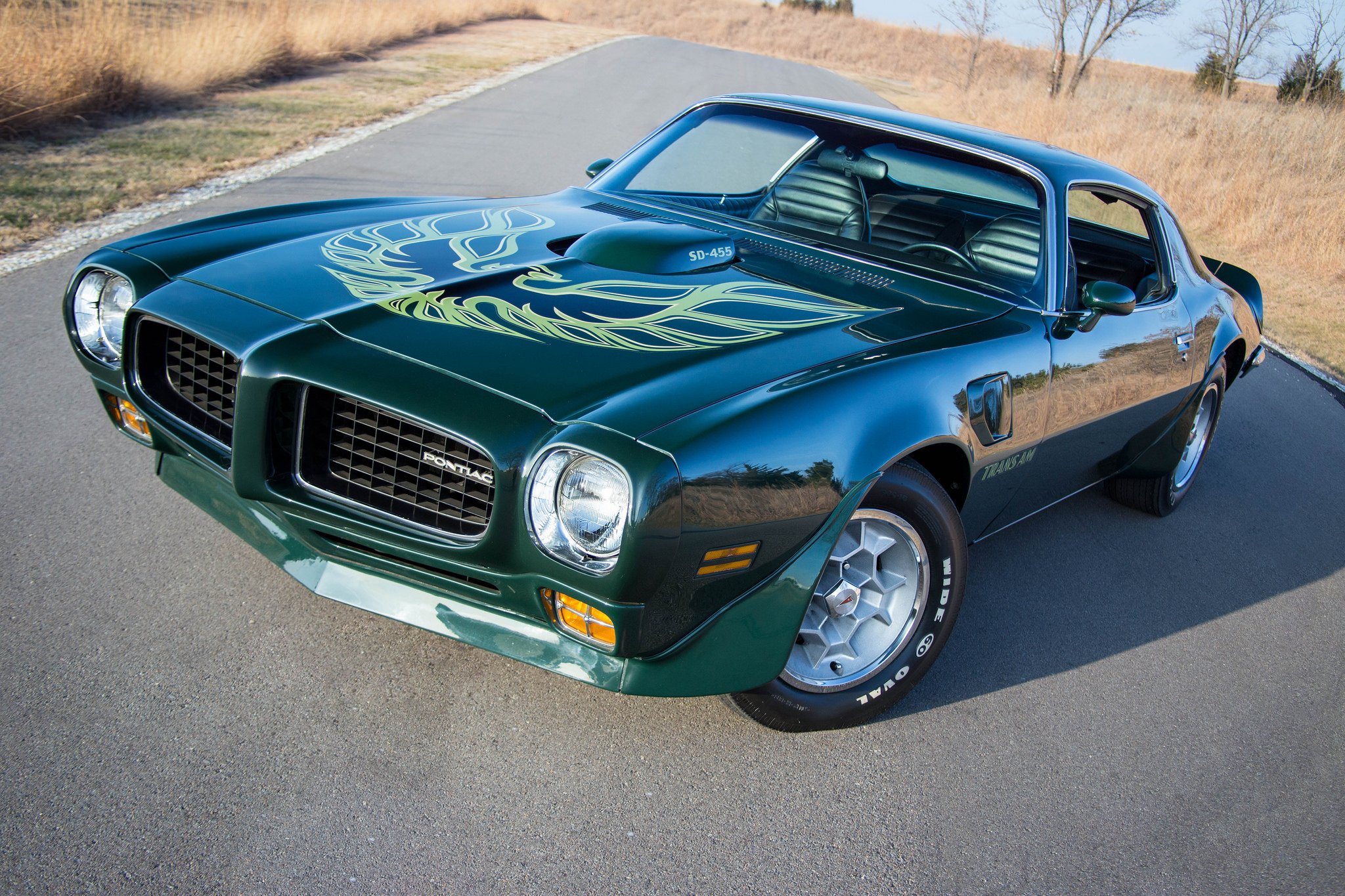 1973, Pontiac, Green, Trans am, Coupe, Cars Wallpaper