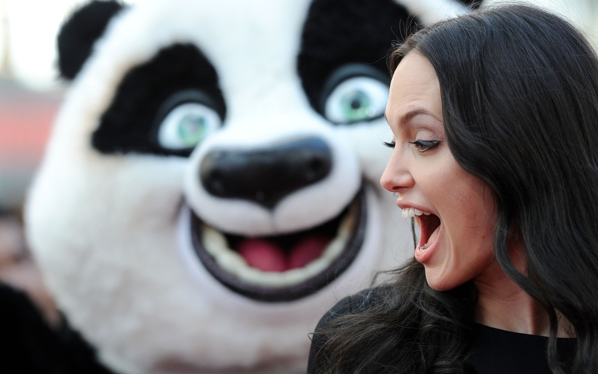 brunettes, Women, Angelina, Jolie, Models, Funny, Open, Mouth, Kung, Fu, Panda Wallpaper