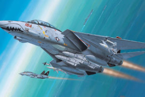 grumman, F 14, Tomcat, Fighter, Interceptor, Navy, Avianisets, Missiles, Risunoik, Military, Jet, Jets