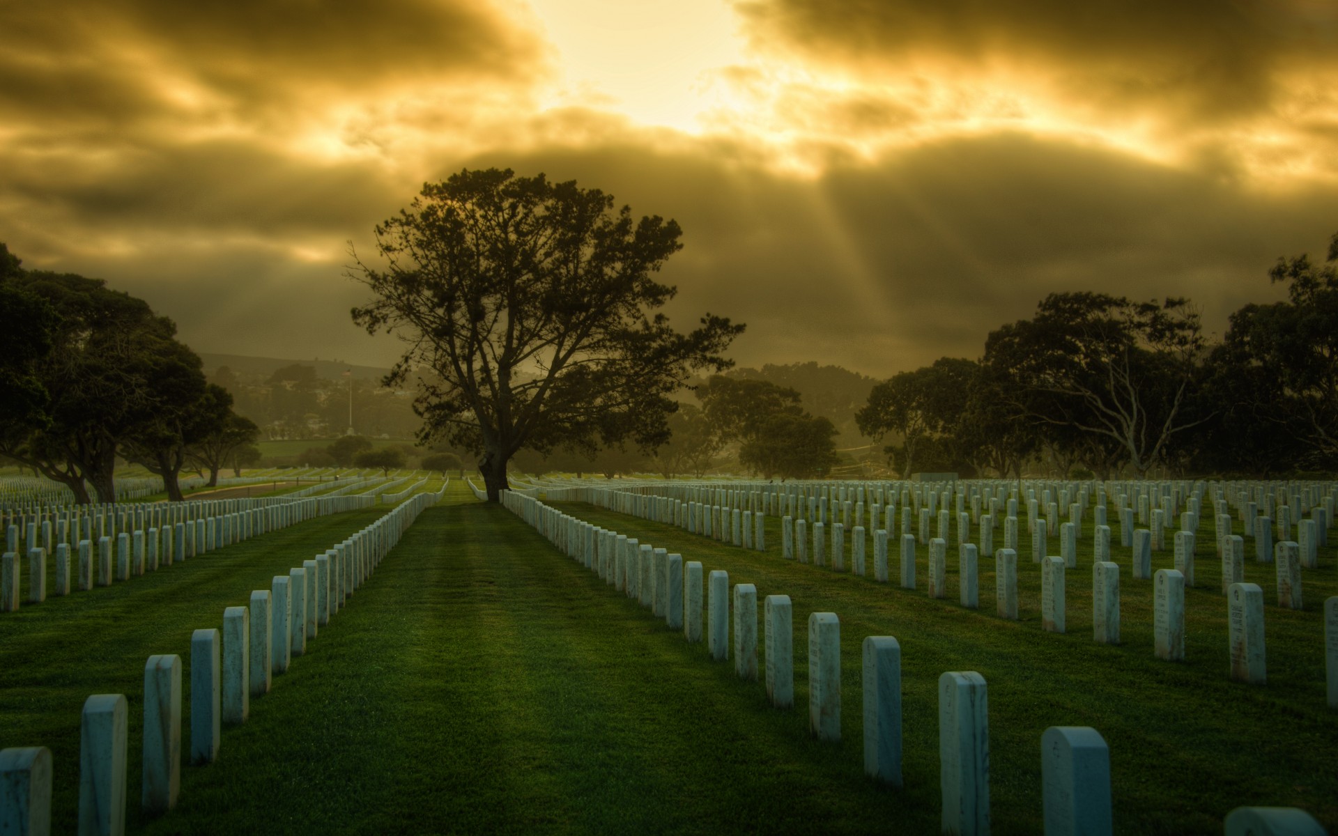 united, States, San, Francisco, Cemetery, Usa, Military Wallpaper