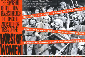 house, Of, Women, Movie, Poster