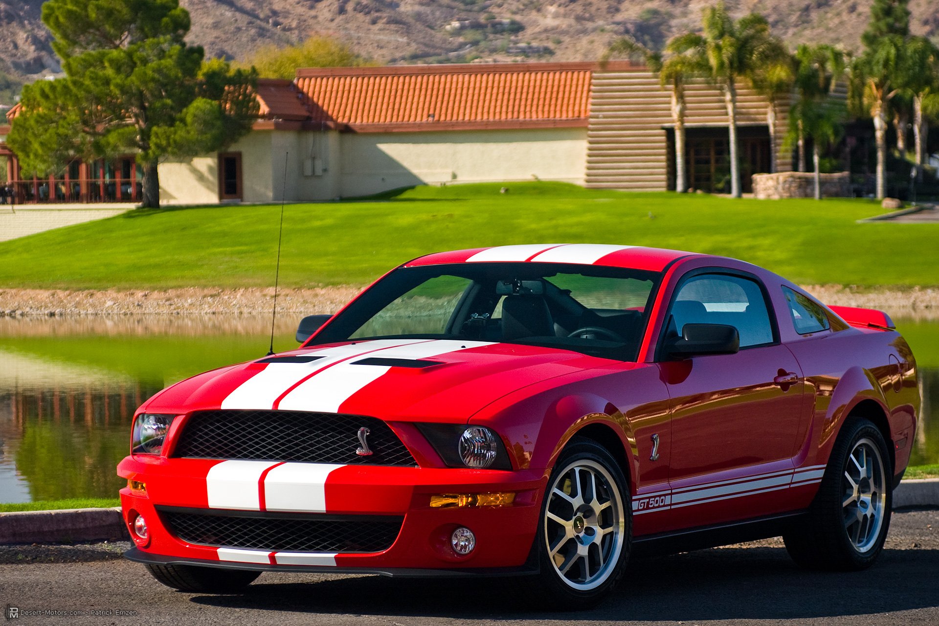 2008, Ford, Shelby, Gt500, Mustang, Muscle, G t Wallpapers HD / Desktop ...