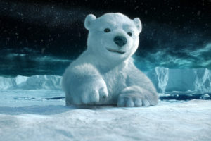 polar, Bear, Bear, Snow, Cg, Night