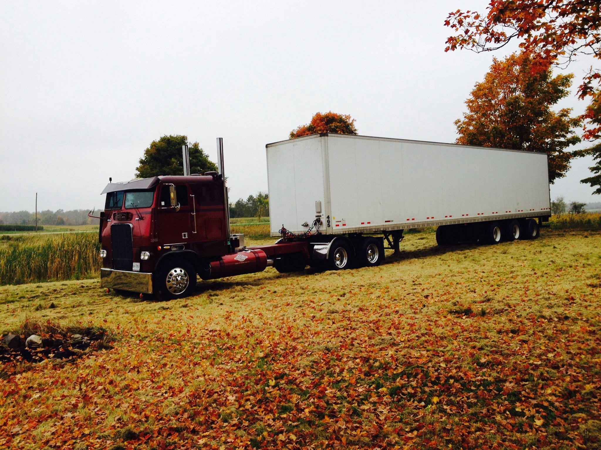 freightliner, Semi, Tractor, Transport, Truck Wallpaper